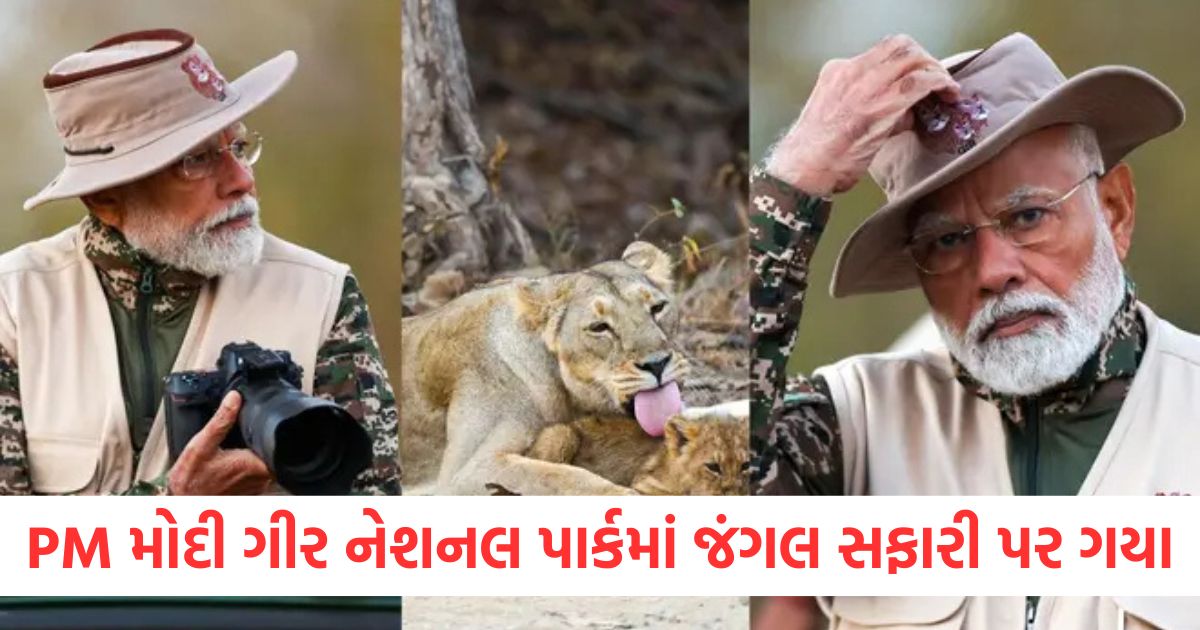 pm modi jungle safari in gir national park on world wildlife day gujarat visit