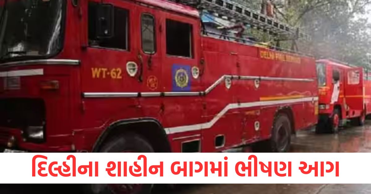 shaheen bagh fire breaks out at a footwear showroom in delhi