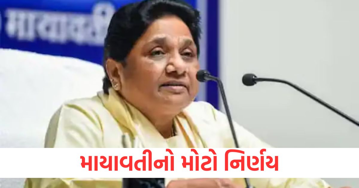 up politics mayawati big decision removed akash anand from all posts2