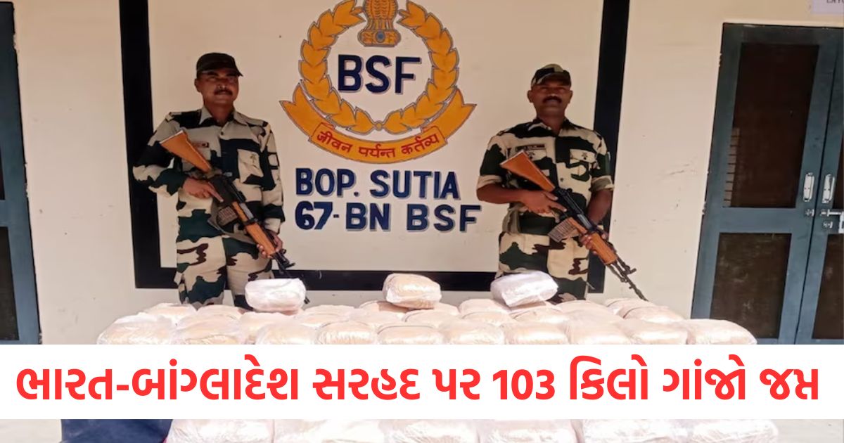 wb north 24 parganas india bangladesh international border smuggling ganja recovered search operation bsf crime