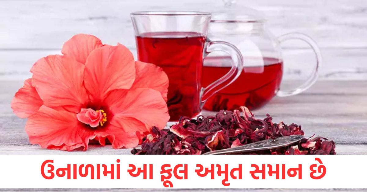 hibiscus flower nectar in summer apply paste on face hands feet skin blossom shine whole year