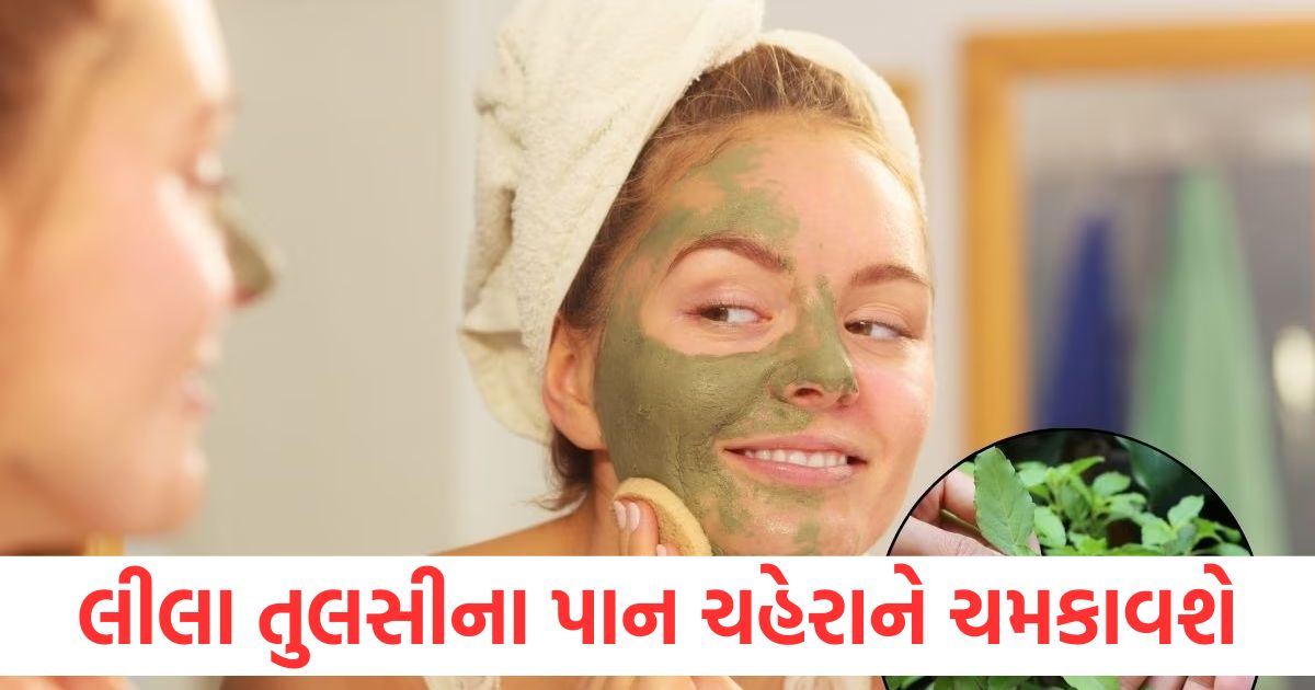how to make homemade tulsi face pack and toner for skin care
