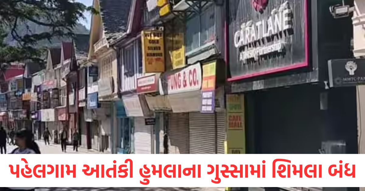 shimla bandh against pahalgam terror attack vyapar mandal demands strict action from modi government2