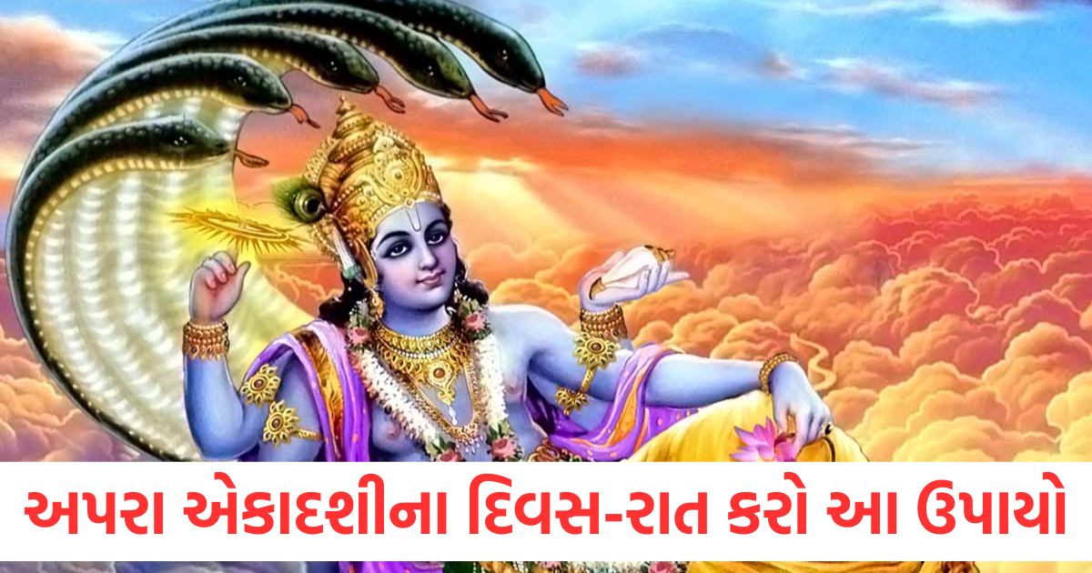 apara ekadashi 2025 do these remedies at night on the day of apara ekadashi goddess lakshmi will reside permanently in your house1