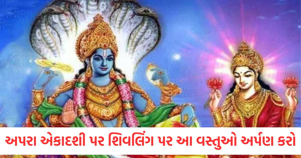 અપરા એકાદશી પર શિવલિંગ પર આ વસ્તુઓ અર્પણ કરો, દેવી લક્ષ્મી તમારા ઘરે આવશે apara ekadashi 2025 offerings to shivling to invite goddess maa lakshmi1
