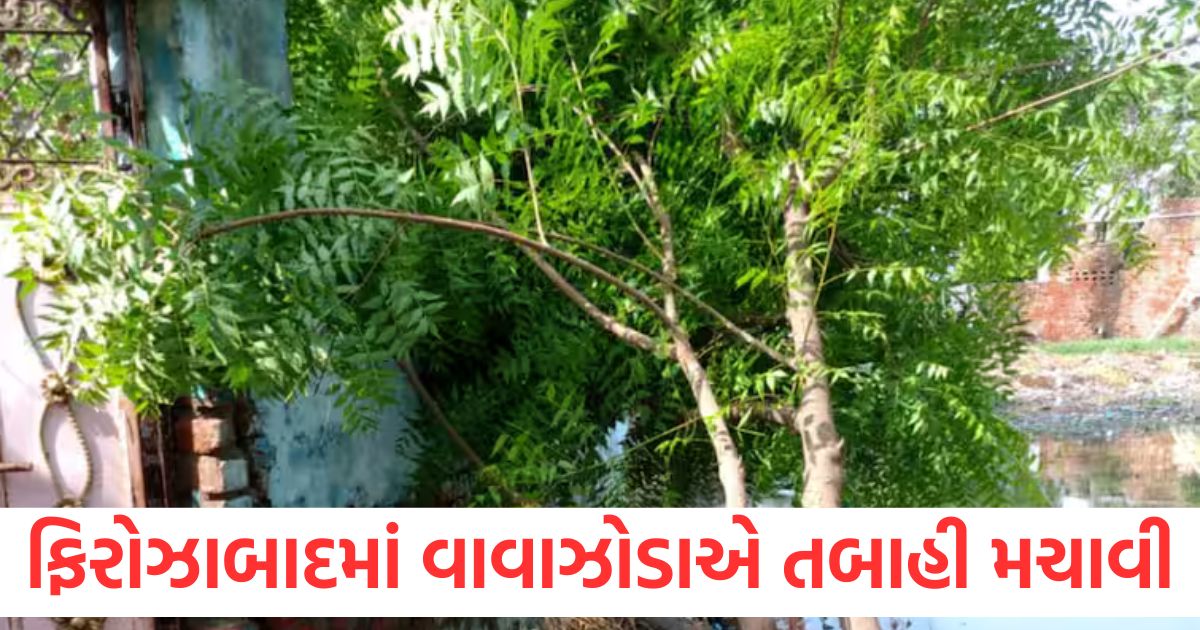 firozabad storm woman died due to tin falling on her and 16 sheep died