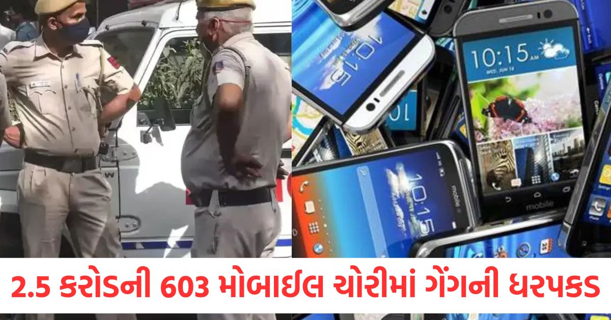 2.5 કરોડની 603 મોબાઈલ ચોરીમાં ગેંગની ધરપકડ, નોઈડા પોલીસને મોટી સફળતા gang arrested for stealing 603 mobile phones worth rs 2 5 crore noida police big success