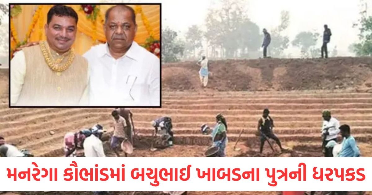 મનરેગા કૌભાંડમાં ગુજરાતના મંત્રી બચુભાઈ ખાબડના પુત્રની ધરપકડ, શું છે આરોપ? gujarat minister bachubhai khabad son balvant khabad arrested in mgnrega scam2