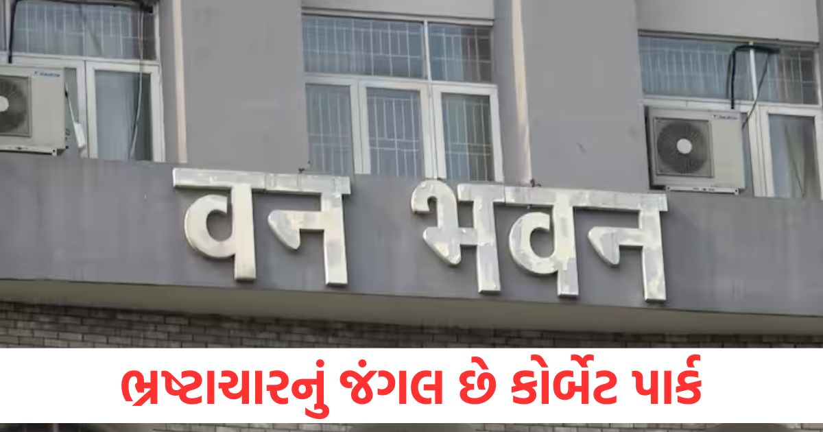 jim corbett park ed chargesheet kishan chand money laundering