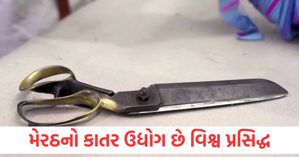 meerut scissors industry is 360 years old know how it started1