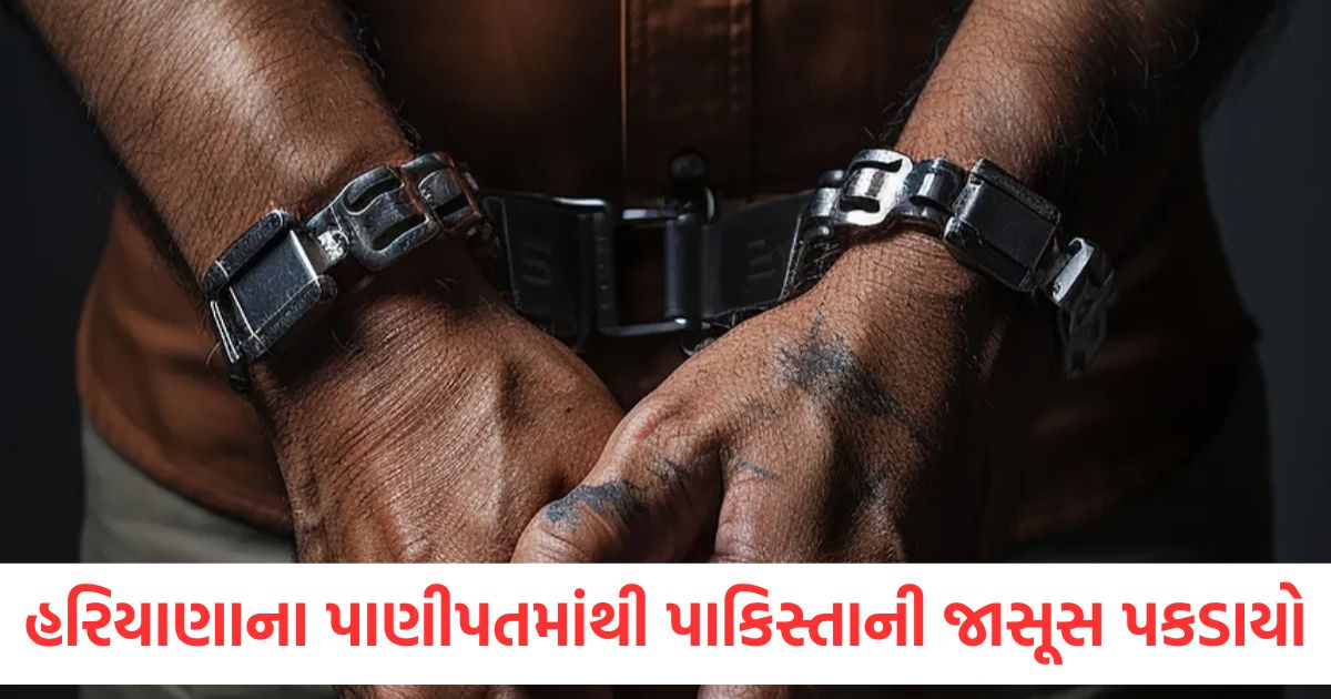 suspected spy arrested in panipat sending secret information to terrorists pakistan1