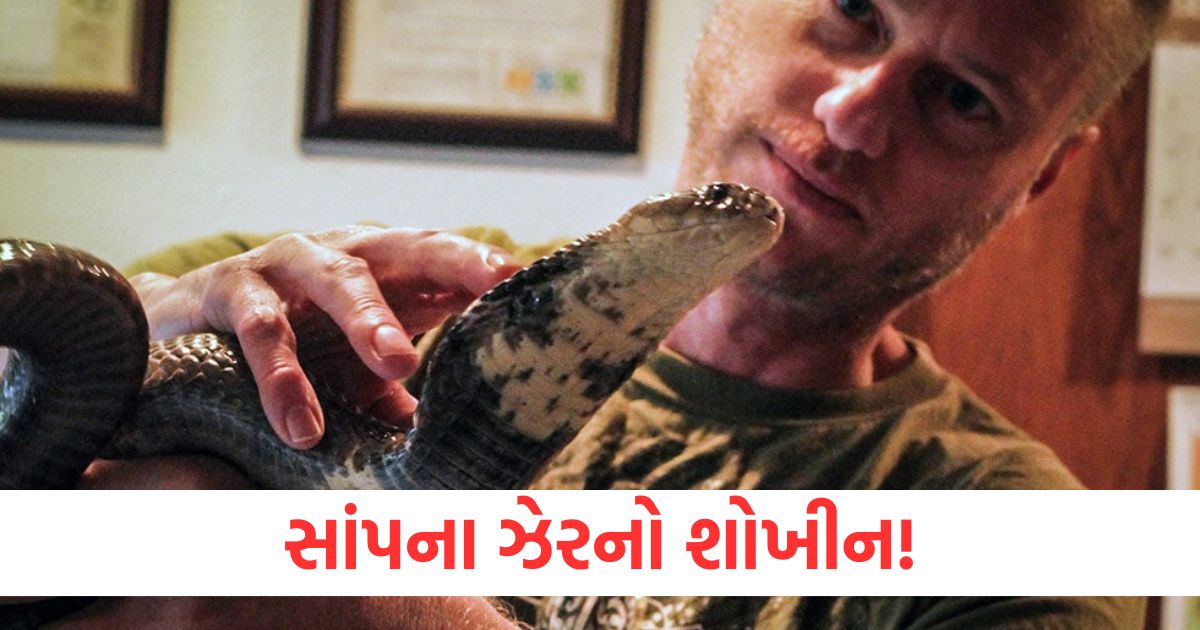 આ ભાઈને છે સાંપના ઝેરનો શોખ! અત્યાર સુધીમાં ઘણા સાપો થી ડંસ ખાઈ ચુક્યો છે tim fried fond of snake venom he has got himself bitten by many poisonous snakes