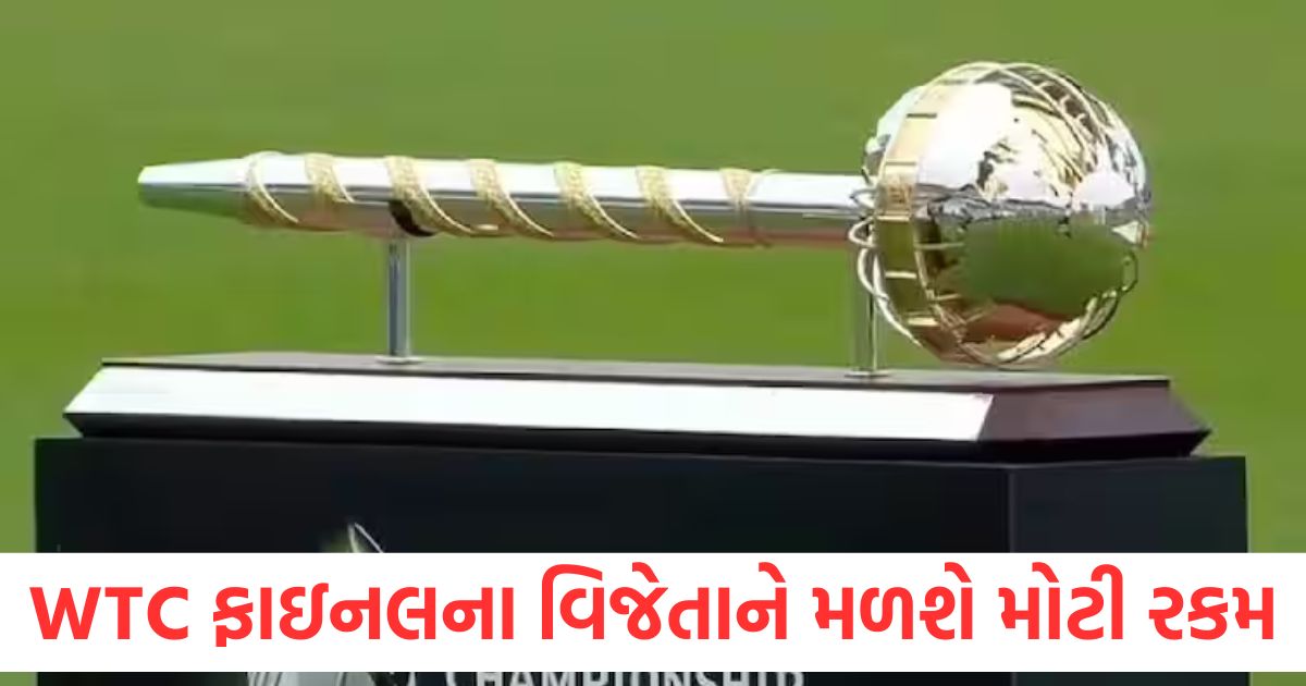 world test championship 2025 winner prize money announced wtc final prize money winner runner up