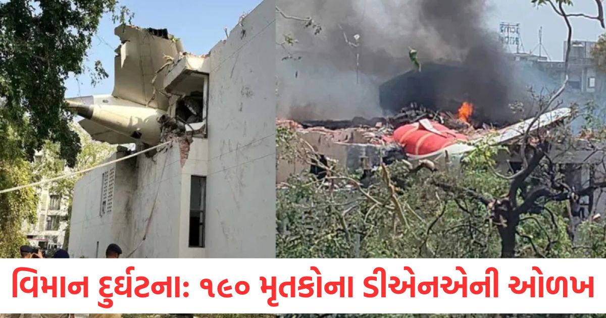 air india plane crash latest dna test identification update treatment of injured