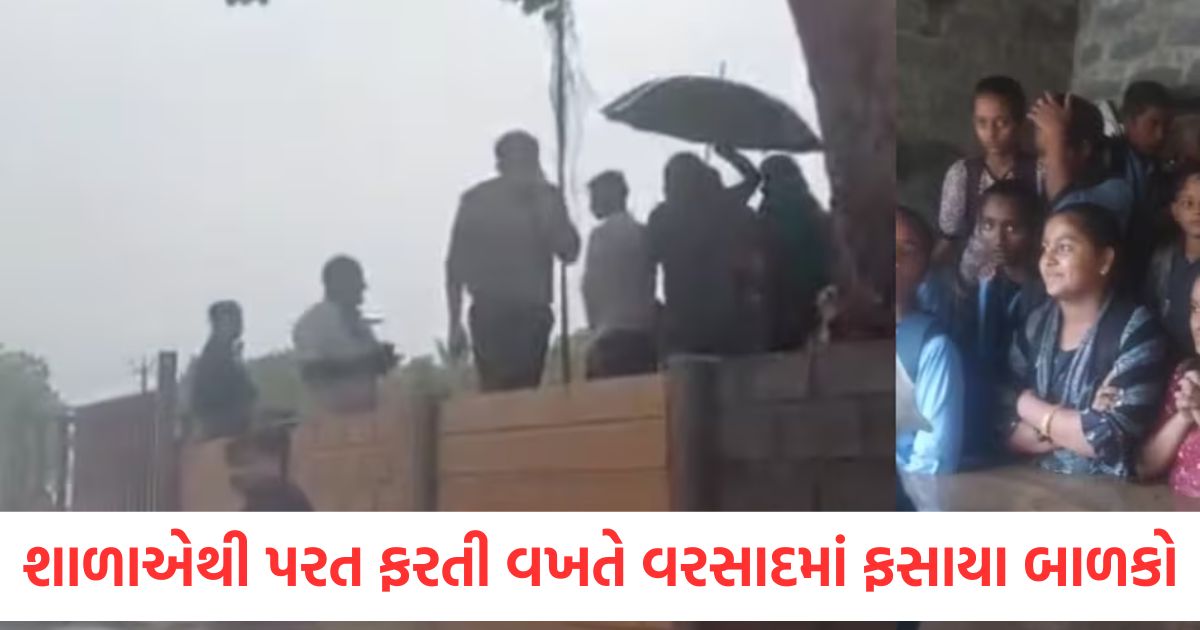 ગુજરાતમાં ભારે વરસાદ વચ્ચે ફસાયેલા શાળાના બાળકો, બચાવ ટીમે બચાવ્યા, વીડિયો વાયરલ bhavnagar heavy rainfall administration rescue stranded school students