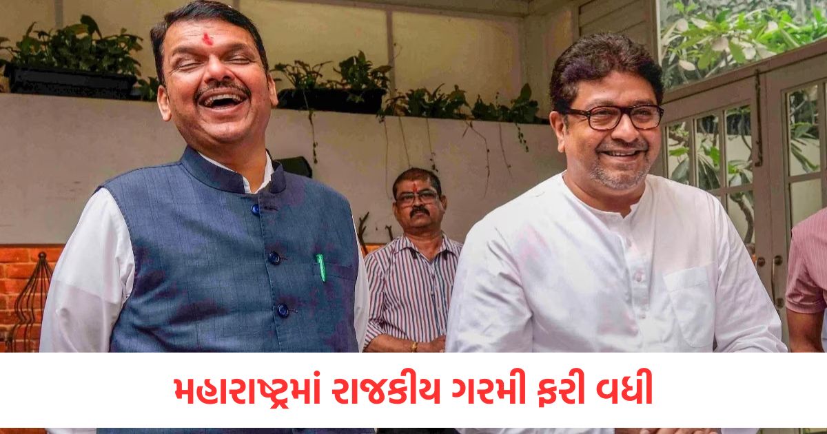 cm fadnavis and raj thackeray met maharashtra politics