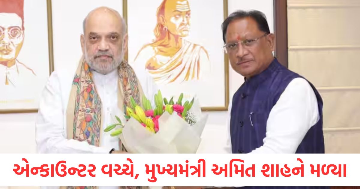 cm met amit shah with report card of anti naxal operation important meeting in delhi