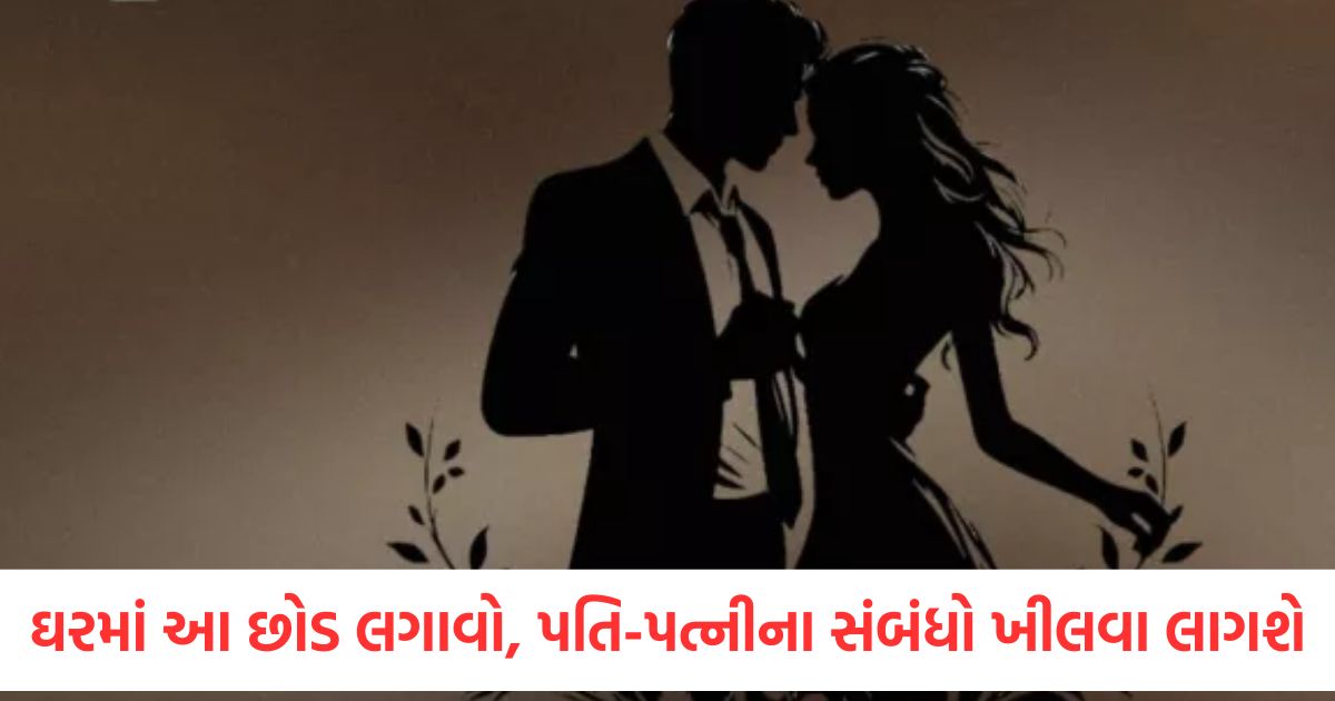 cultivate love and fragrance plants to enhance marital harmony