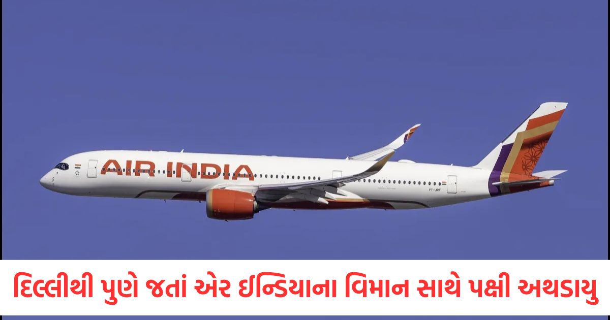 delhi pune air india flight suffers bird hit return journey cancelled