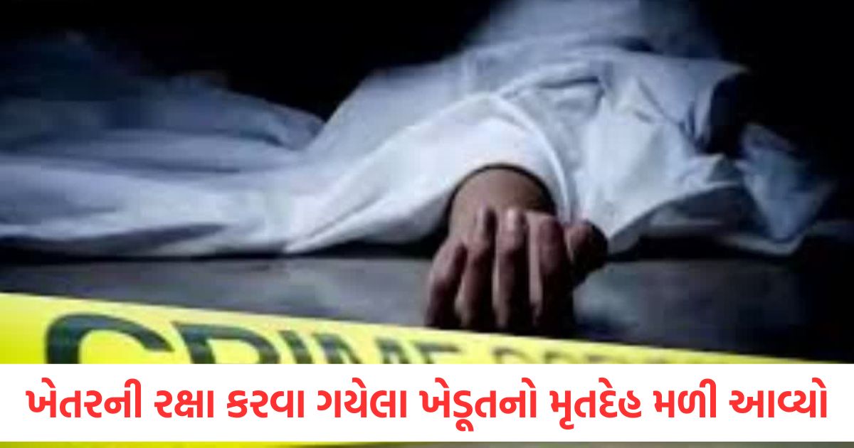 firozabad body of farmer who went to guard field found covered with blood uttar pradesh