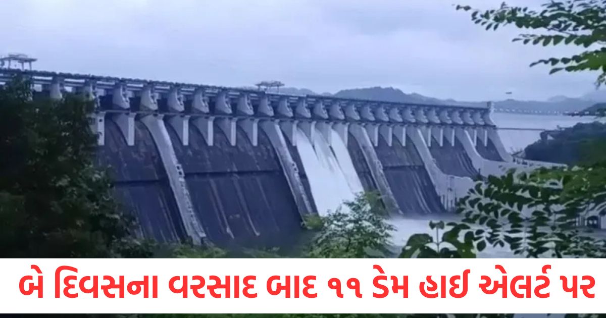 ગુજરાત: બે દિવસના વરસાદ બાદ ૧૧ ડેમ હાઈ એલર્ટ પર, ૧૮ લોકોના મોત gujarat 11 dams on high alert after just two days of rain 18 dead