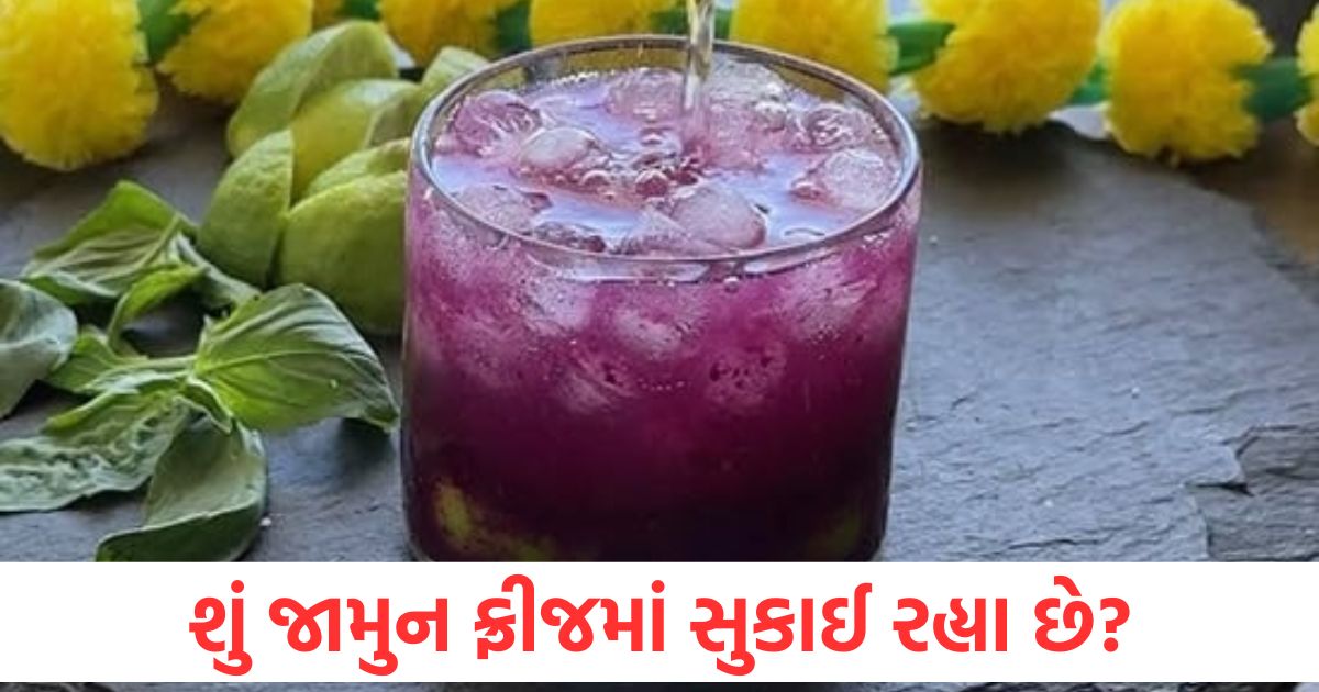 jamun fruit drink try these fun summer drinks jamun mojito shake