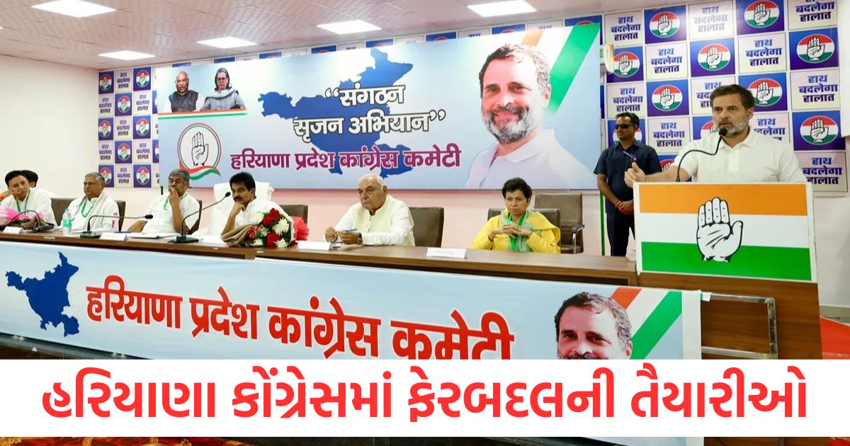હરિયાણા કોંગ્રેસમાં ફેરબદલની તૈયારીઓ, રાહુલે નેતાઓ સાથે બેઠક કરી preparations for reshuffle in haryana congress rahul holds meeting with leaders
