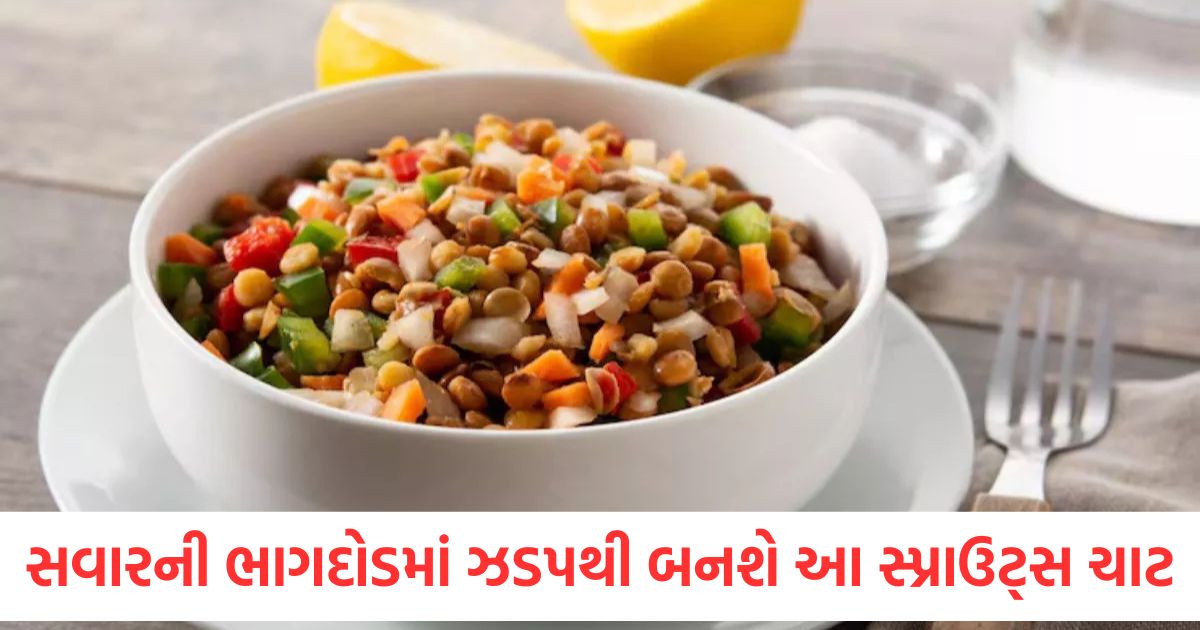 quick and easy sprouts chaat recipe unique flavor for busy mornings