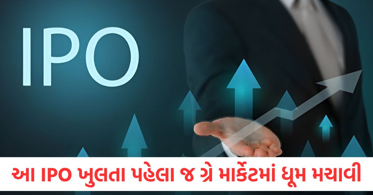 sacheerome ipo open from 9 june price band 102 rupees gmp surges huge1