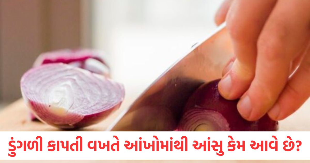 why do tears flow from the eyes while cutting onions understand its science in easy language