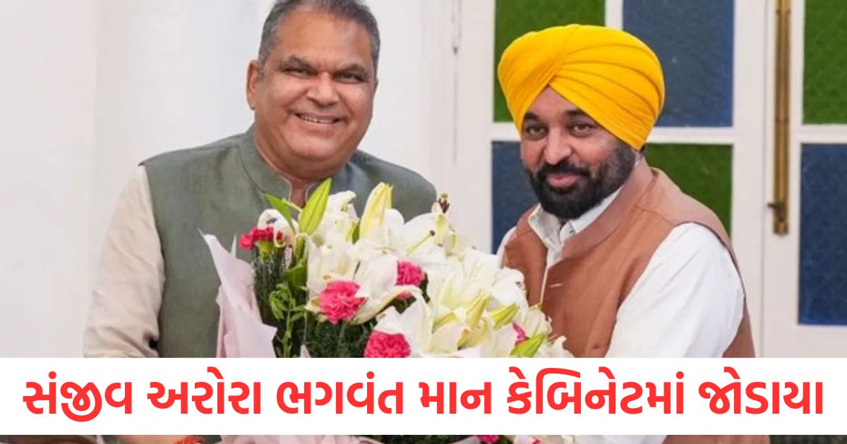 પૂર્વ સાંસદ સંજીવ અરોરા ભગવંત માન કેબિનેટમાં જોડાયા, આજે મંત્રી તરીકે શપથ લીધા Former MP Sanjeev Arora joins Bhagwant Mann cabinet takes oath as minister today