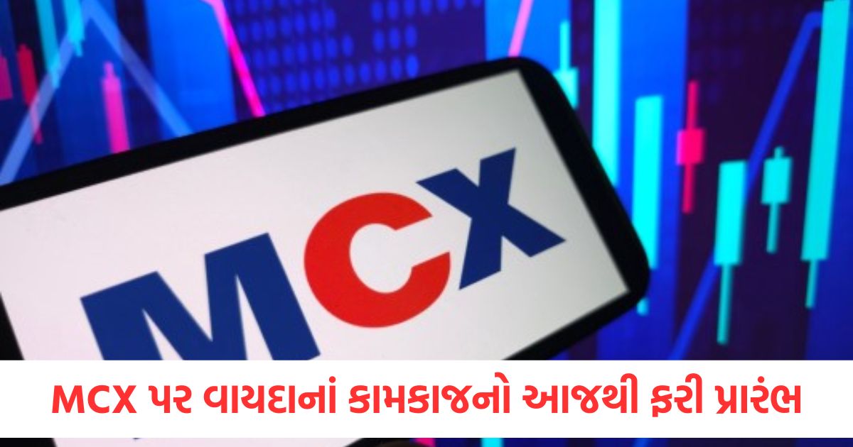Futures trading in Elchi on MCX resumes from today Four contracts will be available