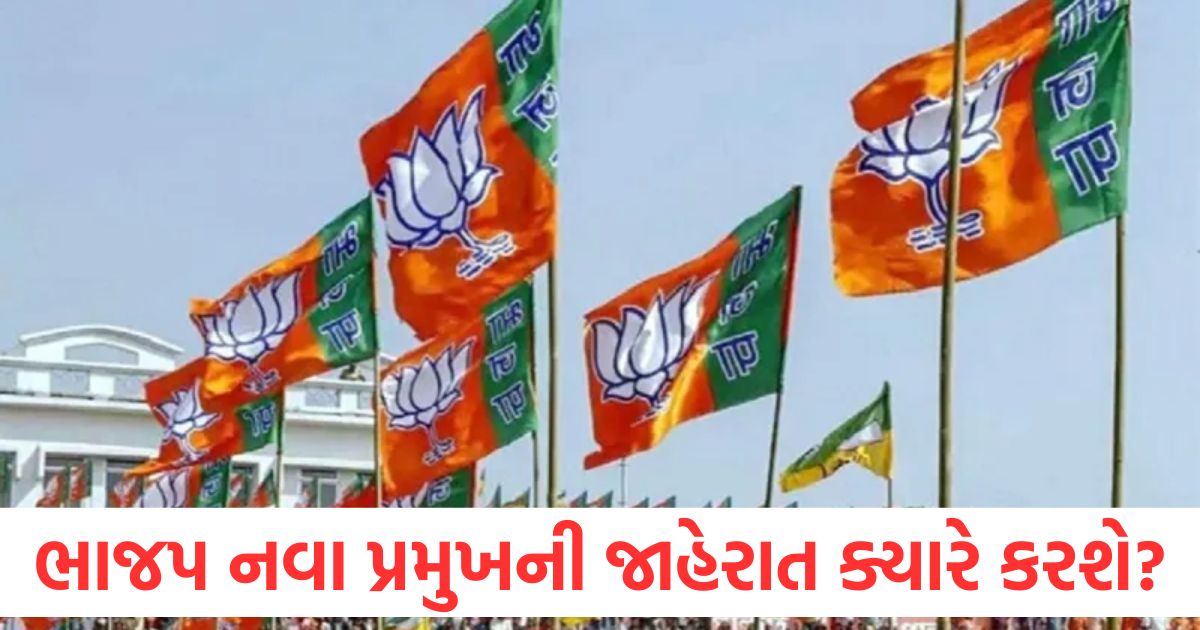 When will BJP announce new president The most important condition for starting the election process will be fulfilled today