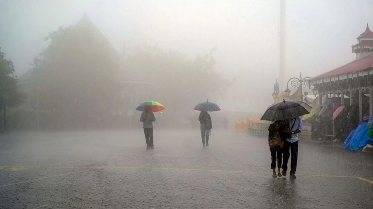 Light to very heavy rain forecast in the state 113 dams on high alert—heavy rain in Veraval