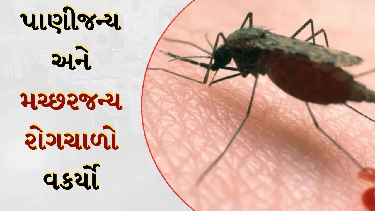 navsarjan saskruti 5 1