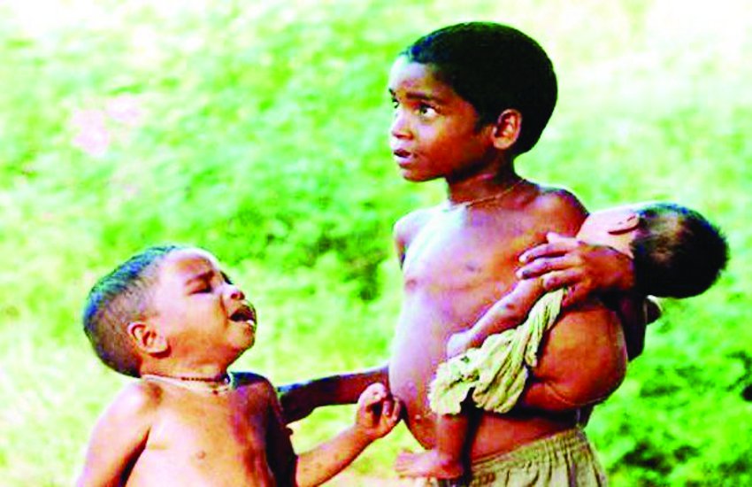 navsarjan saskruti 8 5