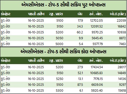 WhatsApp Image 2025 10 16 at 5.53.19 PM 1