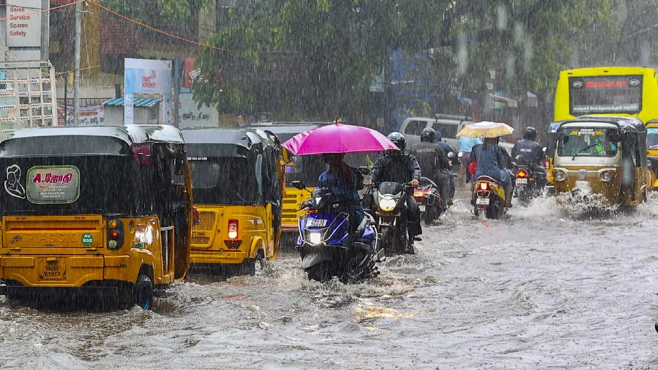 navsarjan saskruti 8 2