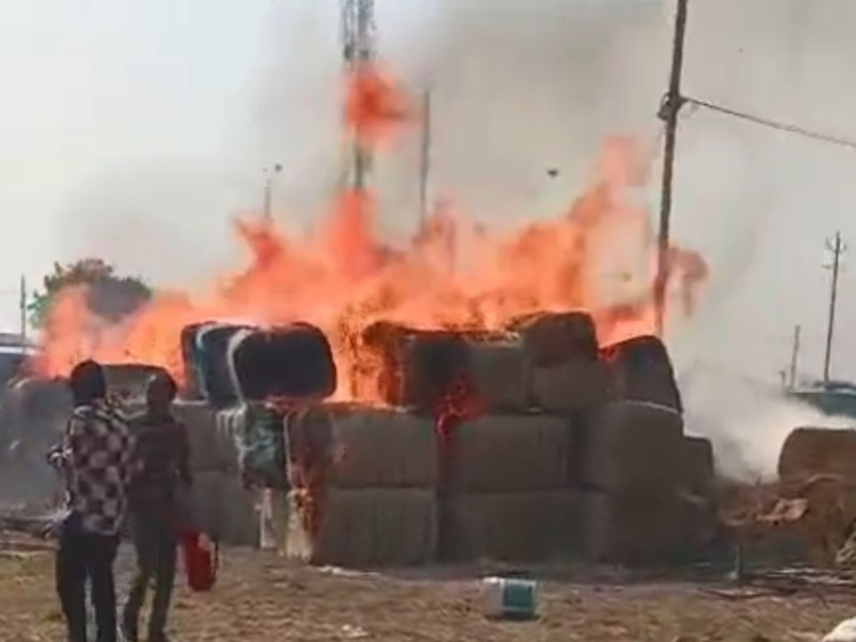 Massive fire breaks out at Dhorajis groundnut purchasing center Goods worth lakhs of rupees gutted in Atul Solvent Ground