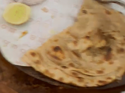 Roti with insects found in famous restaurant in Ahmedabad Municipal Corporation imposes fine of Rs 25000