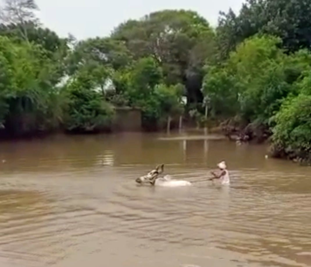 સ્વાગત ઓનલાઈન કાર્યક્રમથી મોડદર ગામના માર્ગ-પુલ પ્રશ્નનો ઝડપી ઉકેલ અને વિકાસ Swagat Online Program for Rapid Solution and Development of Road Bridge Issue in Moddar Village