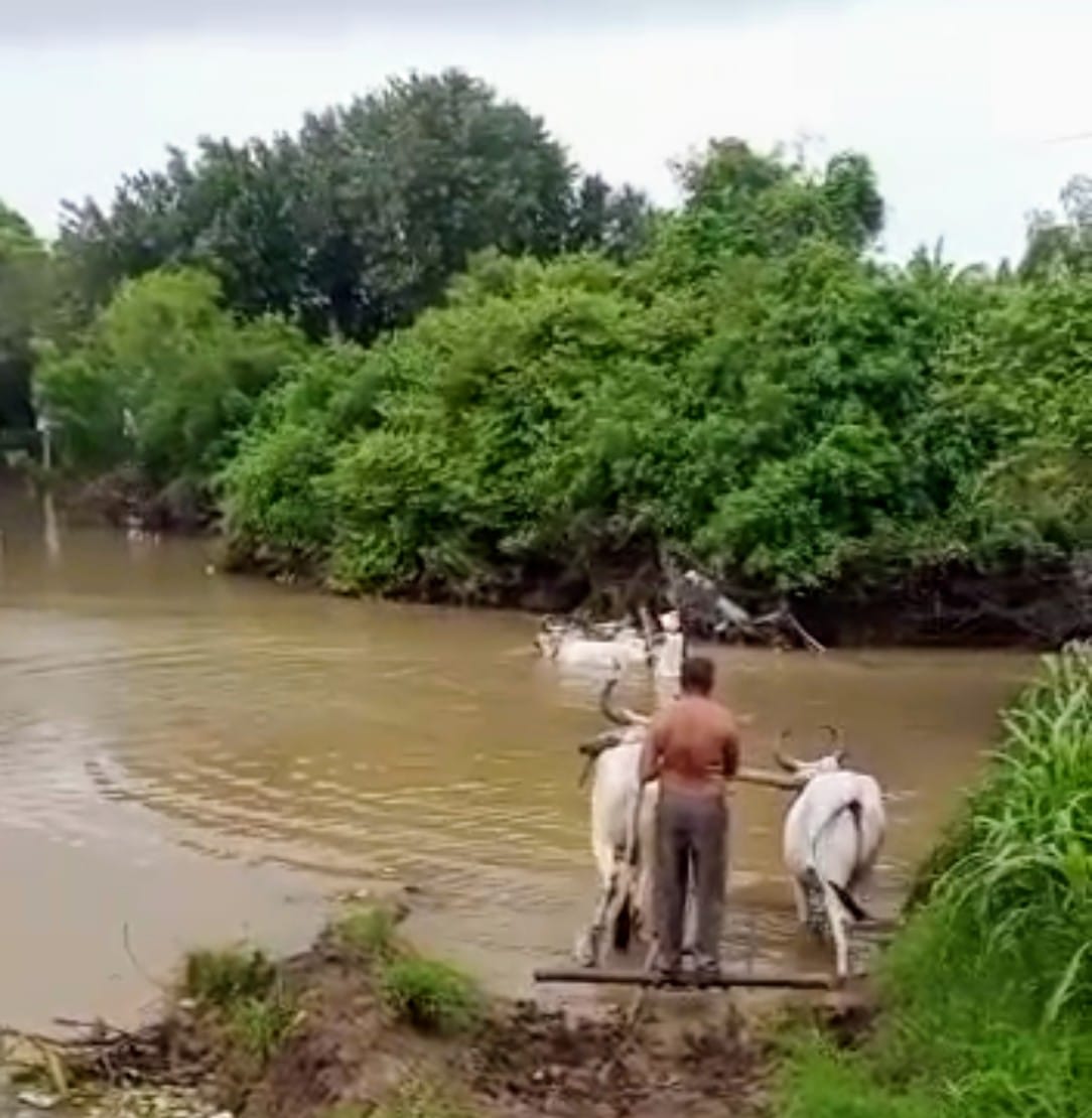 ‘स्वागत’ कार्यक्रम से मोडदर गाँव की सड़क-पुल समस्या हल, ग्रामीणों को मिली बड़ी राहत 3 The Swagat programme solved the road bridge problem of Moddar village bringing great relief to the villagers.3