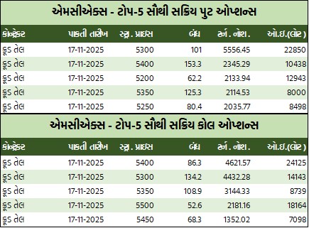 WhatsApp Image 2025 11 07 at 5.32.46 PM