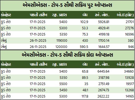 ડેઈલી માર્કેટ રિપોર્ટ 1 WhatsApp Image 2025 11 12 at 5.30.04 PM 1