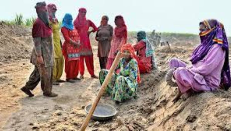 MGNREGA scam in Gujarat 22 lakh fake laborers exposed employment only for show