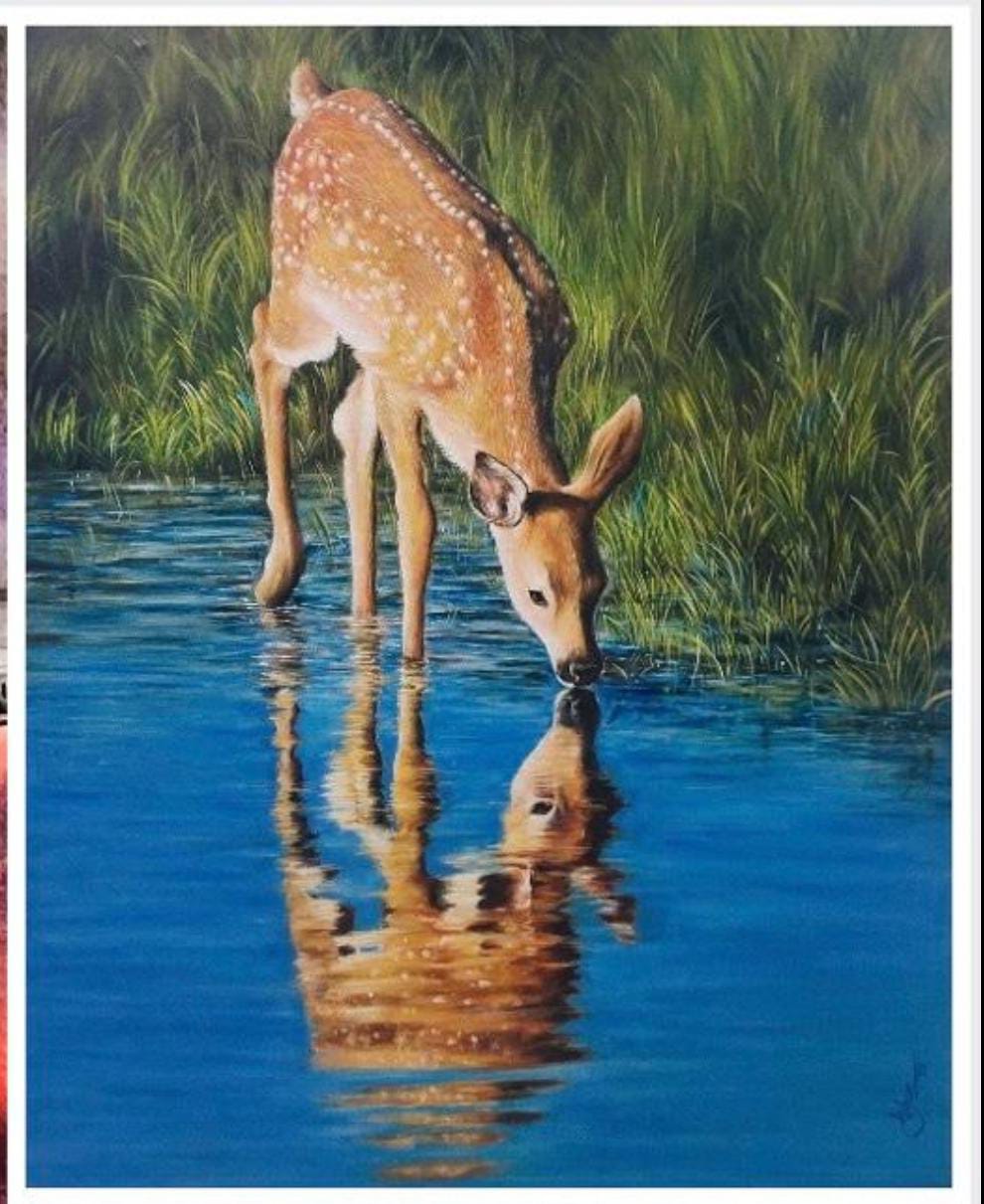 NAVSARJAN SANSKRUTI 5 2