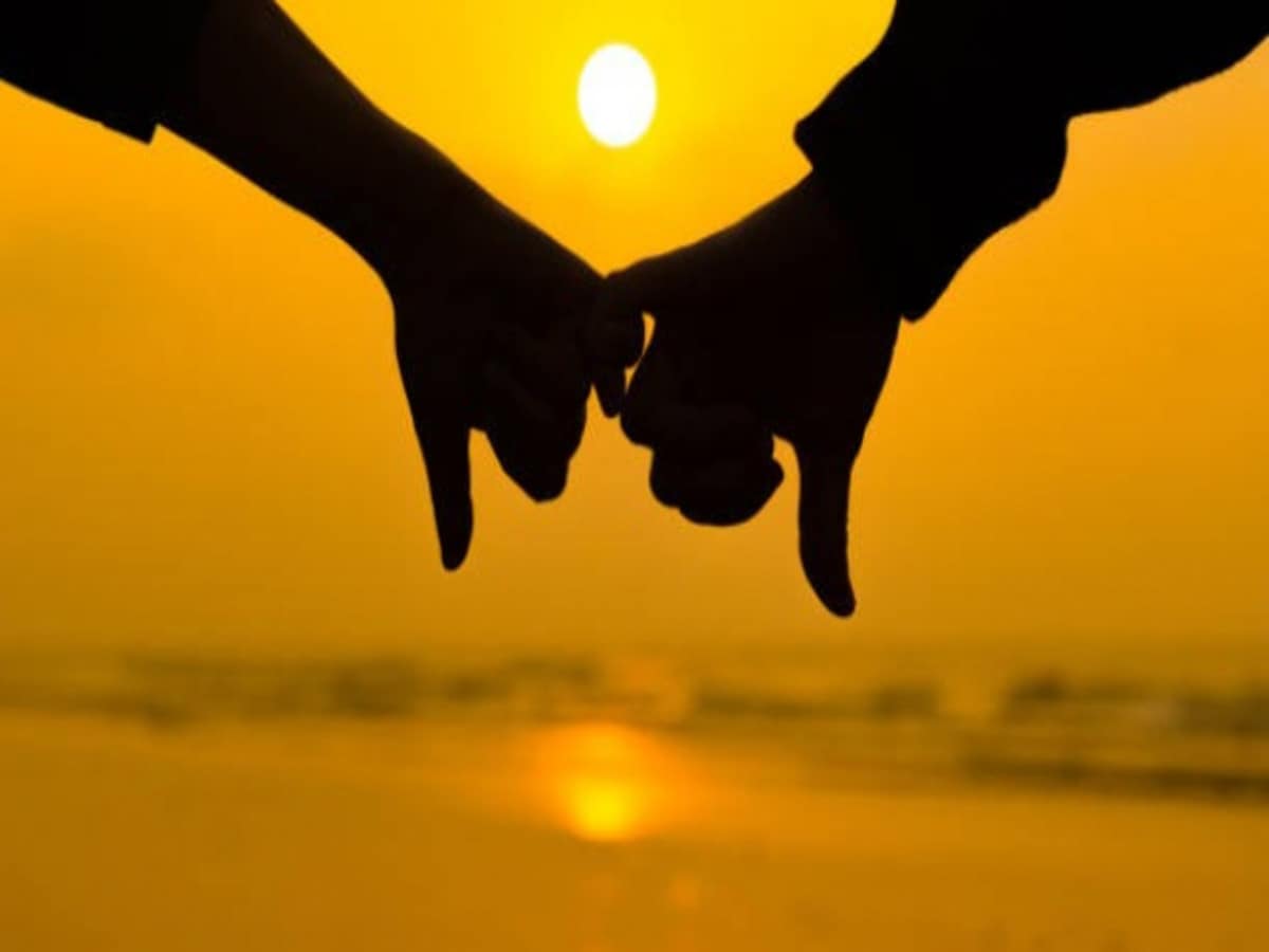 NAVSARJAN SANSKRUTI 9 1