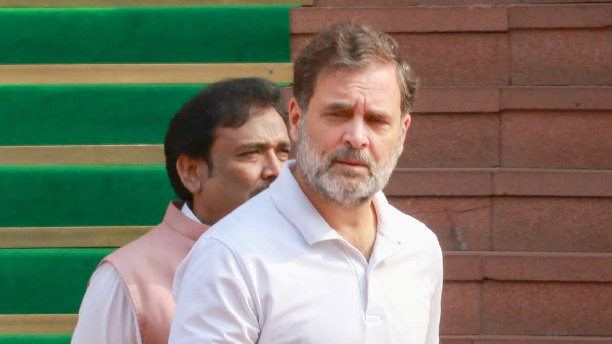 Rahul Gandhi alleges before Putin visit Opposition not allowed to meet foreign guests