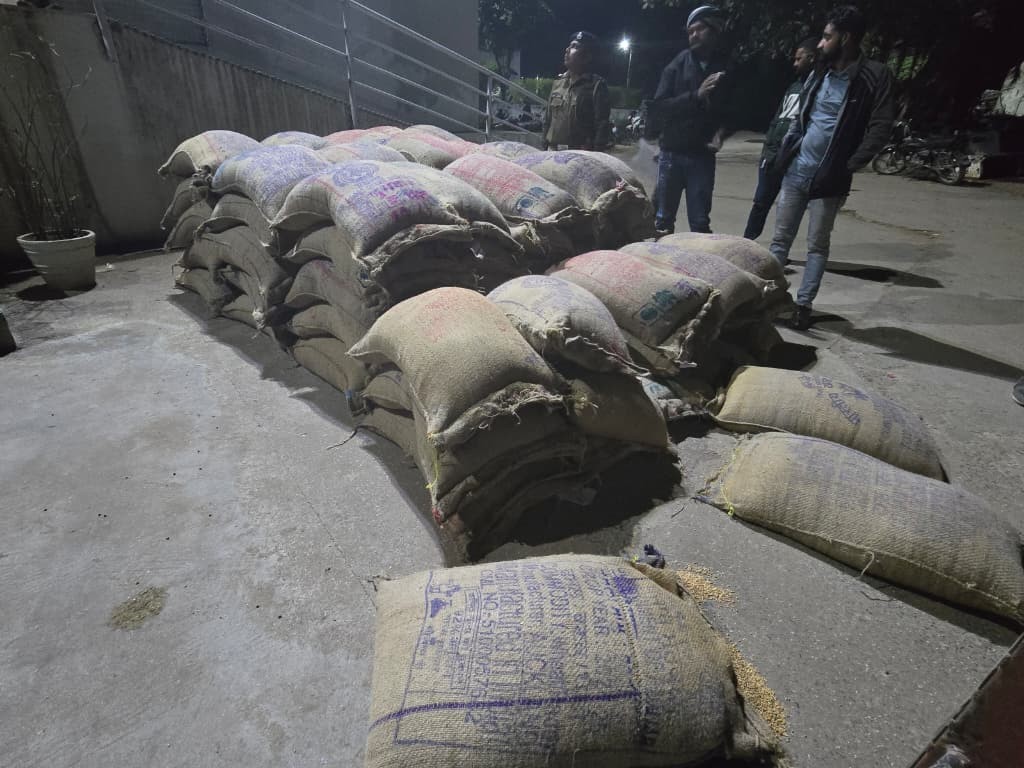 સાવરકુંડલામાં સસ્તા અનાજનો કૌભાંડ પકડાયો: ૧.૧૯ લાખનો માલ જપ્ત Cheap food grains scam caught in Savarkundla Goods worth 1.19 lakh seized