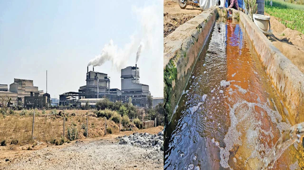 Indrad village Red water due to pollution from chemical companies impact on agriculture and animal husbandry villagers forced to migrate 2